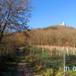Le château depuis le vignoble d'Alsace