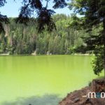 Le lac Vert dans les Vosges