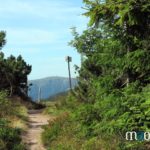 sentier de randonnée vers les crêtes des Vosges