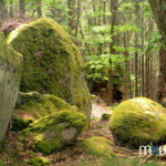 Rocher de Granit - Dambach