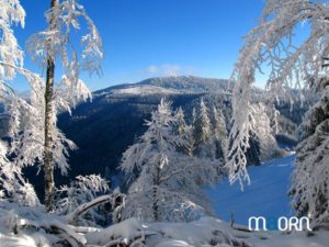 Ascencion du Brézouard en raquettes à neige - Vosges